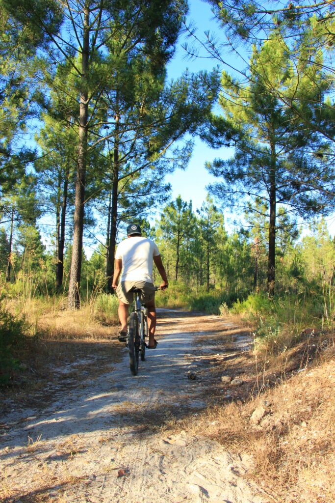 parque metropolitano da biodiversidade Seixal