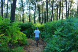 parque metropolitano da biodiversidade Seixal