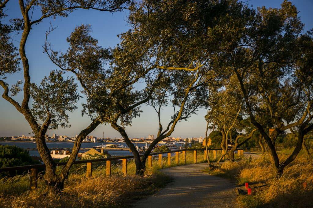 parque metropolitano da biodiversidade Seixal