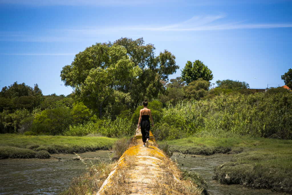 Sapal de Corroios, Seixal