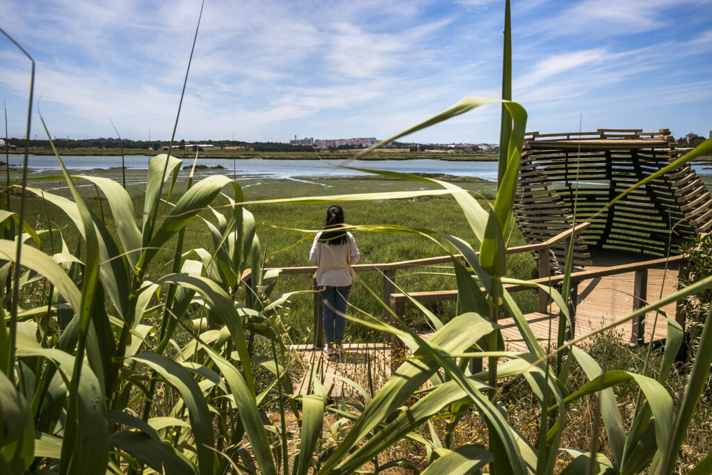 Observatório de aves do Sapal de Corroios (Seixal)